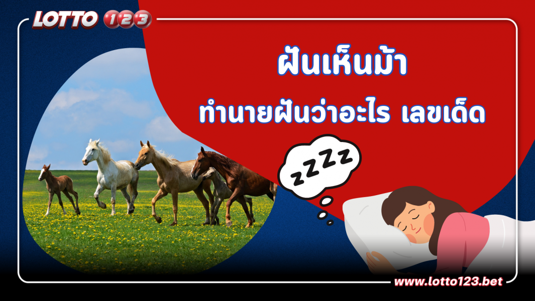คำทำนาย “ฝันเห็นม้า” มีความหมายว่าอย่างไร  พร้อม “เลขเด็ด” จากความฝัน