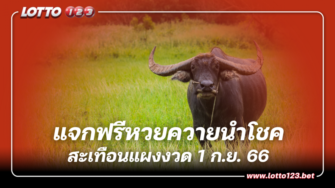 แจกฟรีหวย“ควายนำโชค” 1 ก.ย. 66 ฟันเลขดังต่อเนื่อง