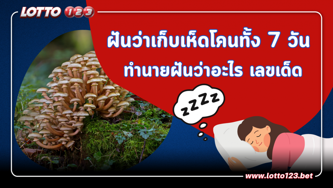 เปิดคำทำนาย ฝันว่าเก็บเห็ดโคนทั้ง 7 วัน มีความหมายว่าอย่างไร?