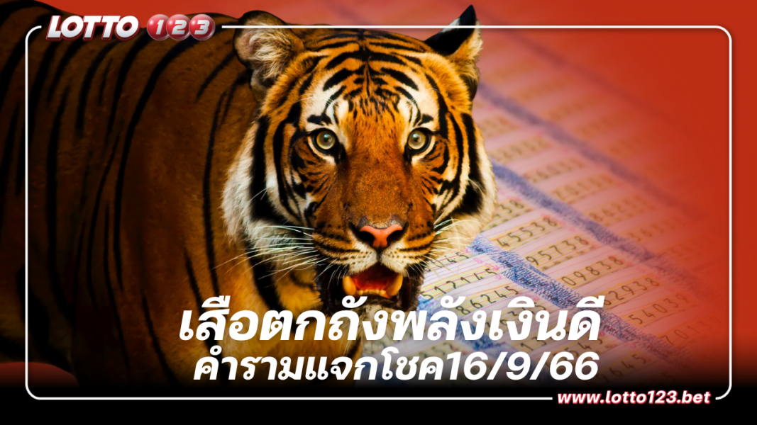 เปิดก่อนใคร 3 ตัวคัดเน้นๆ เสือตกถังพลังเงินดี 16 9 66