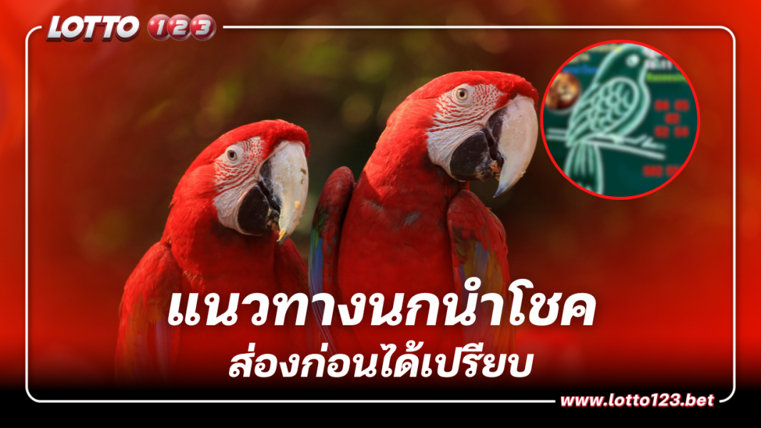ส่องก่อนได้เปรียบ เลขเด็ดงวดนี้ 3 ตัวตรงๆ นกนำโชค 16 11 66
