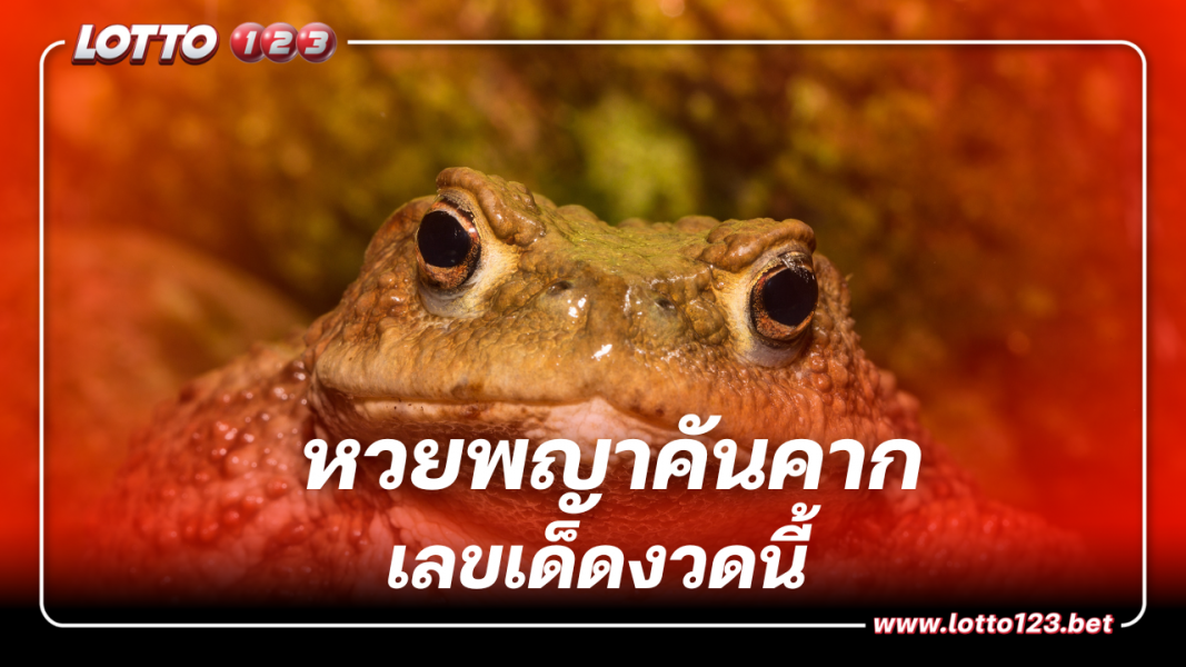 เลขเด็ดงวดนี้ หวยพญาคันคาก  แจกจัดเต็มหวยรัฐบาล 1 12 66