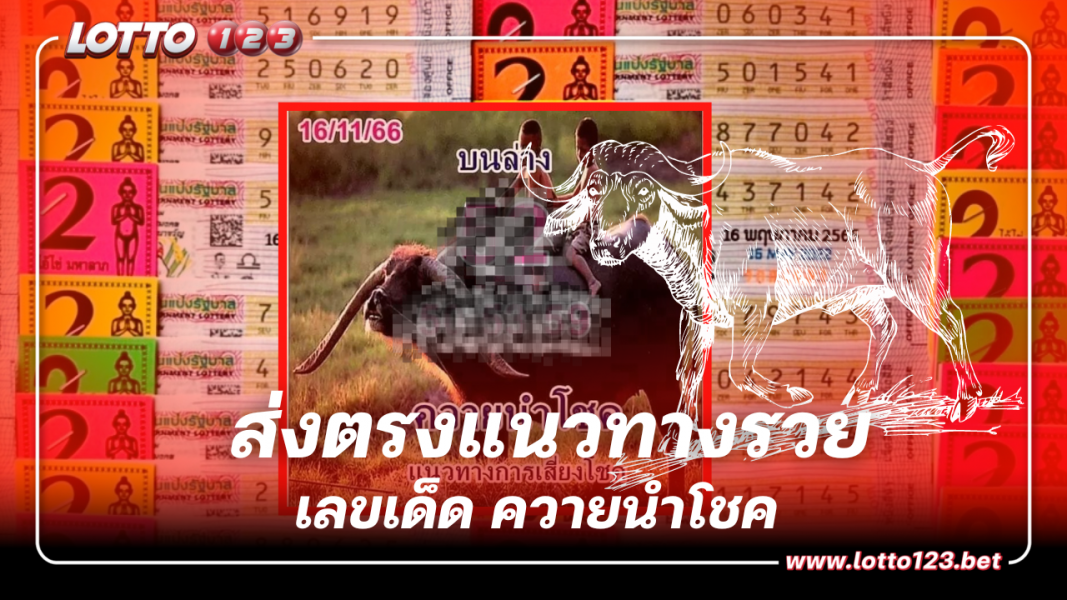 แจกก่อน เลขเด็ด ควายนำโชค 16 พ.ย.66 แนวทางรวยงวดใหม่