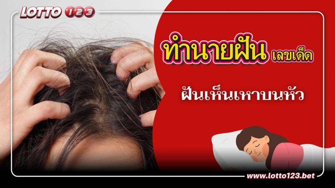 ฝันเห็นเหาบนหัว หมายความว่าอย่างไร พร้อมบอกเลขเด็ด