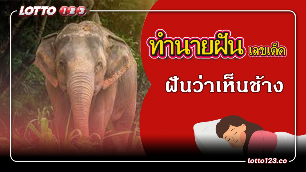 ฝันเห็นช้าง ทำนายฝันเหตุการณ์ความฝันแบบนี้มีความหมายว่าอย่างไร พร้อมเลขมงคลนำโชค
