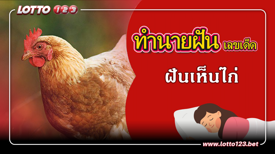 ฝันเห็นไก่ ทำนายฝันเหตุการณ์ความฝันแบบนี้มีความหมายว่าอย่างไร พร้อมเลขมงคลนำโชค