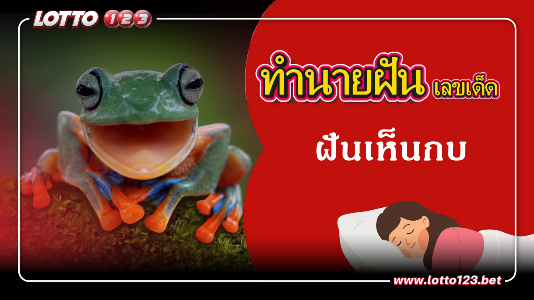 ฝันเห็นกบ ทำนายฝันเหตุการณ์ความฝันแบบนี้มีความหมายว่าอย่างไร พร้อมเลขมงคลนำโชค