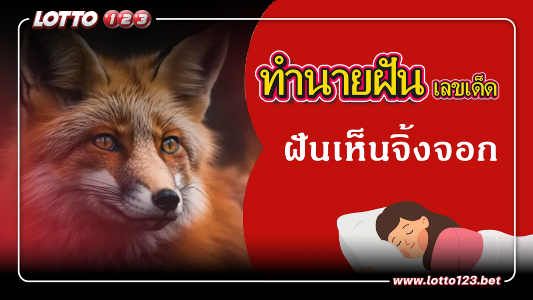 ฝันเห็นจิ้งจอก ทำนายฝันเหตุการณ์ความฝันแบบนี้มีความหมายว่าอย่างไร พร้อมเลขมงคลนำโชค