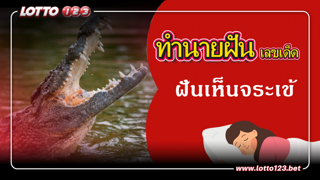 ฝันเห็นจระเข้ ทำนายฝันเหตุการณ์ความฝันแบบนี้มีความหมายว่าอย่างไร พร้อมเลขมงคลนำโชค