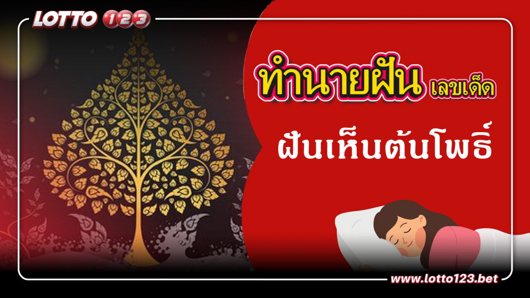 ฝันเห็นต้นโพธิ์ ทำนายฝันเหตุการณ์ความฝันแบบนี้มีความหมายว่าอย่างไร พร้อมเลขมงคลนำโชค