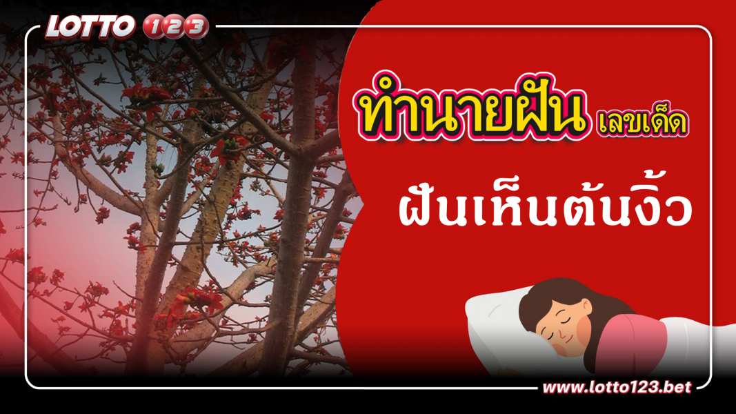 ฝันเห็นต้นงิ้ว  ทำนายฝันเหตุการณ์ความฝันแบบนี้มีความหมายว่าอย่างไร พร้อมเลขมงคลนำโชค